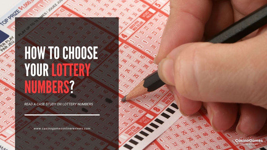 How to Choose Your Lottery Numbers