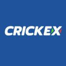 Crickex Casino Review